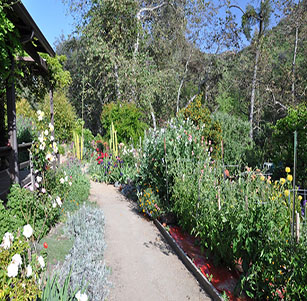 Rural Variety Garden
