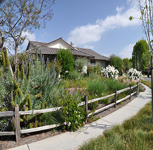 Split Rail Fence Garden